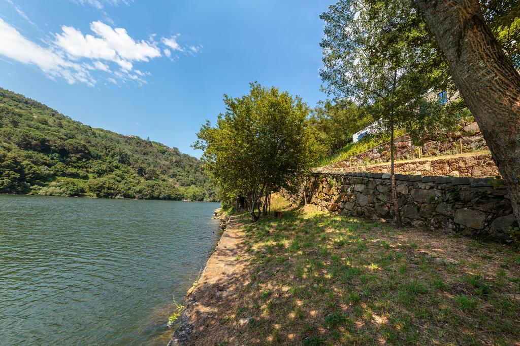 Douro Green 派瓦堡 外观 照片